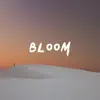 Hang Øver & Hip Dozer - Bloom - EP